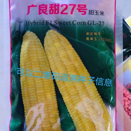 天津甜玉米种子  广良甜27，优质泰系甜玉米，可以二维码追溯的玉米种子