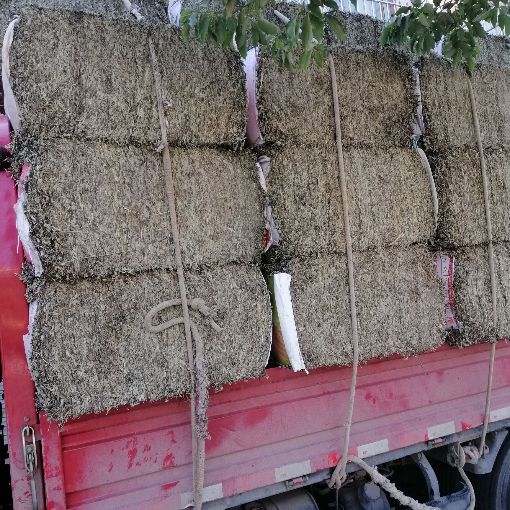 艾叶干艾草湖北蕲艾无杆打绒薰屋消毒月子洗护批零大叶五月艾
