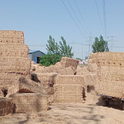 阜阳 优质小麦秸秆饲料