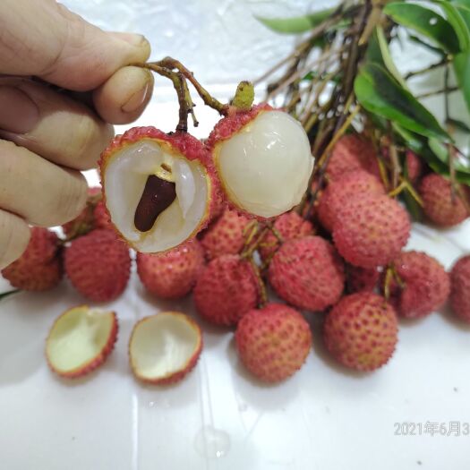 广州从化特级桂味荔枝