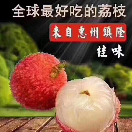 惠州桂味荔枝 惠州镇隆桂味，糯米糍