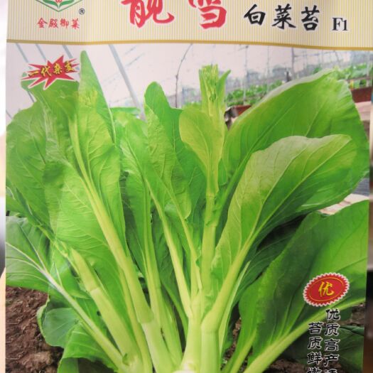 武汉杂交白菜苔种子早熟，耐热，高产，苔粗鲜嫩
