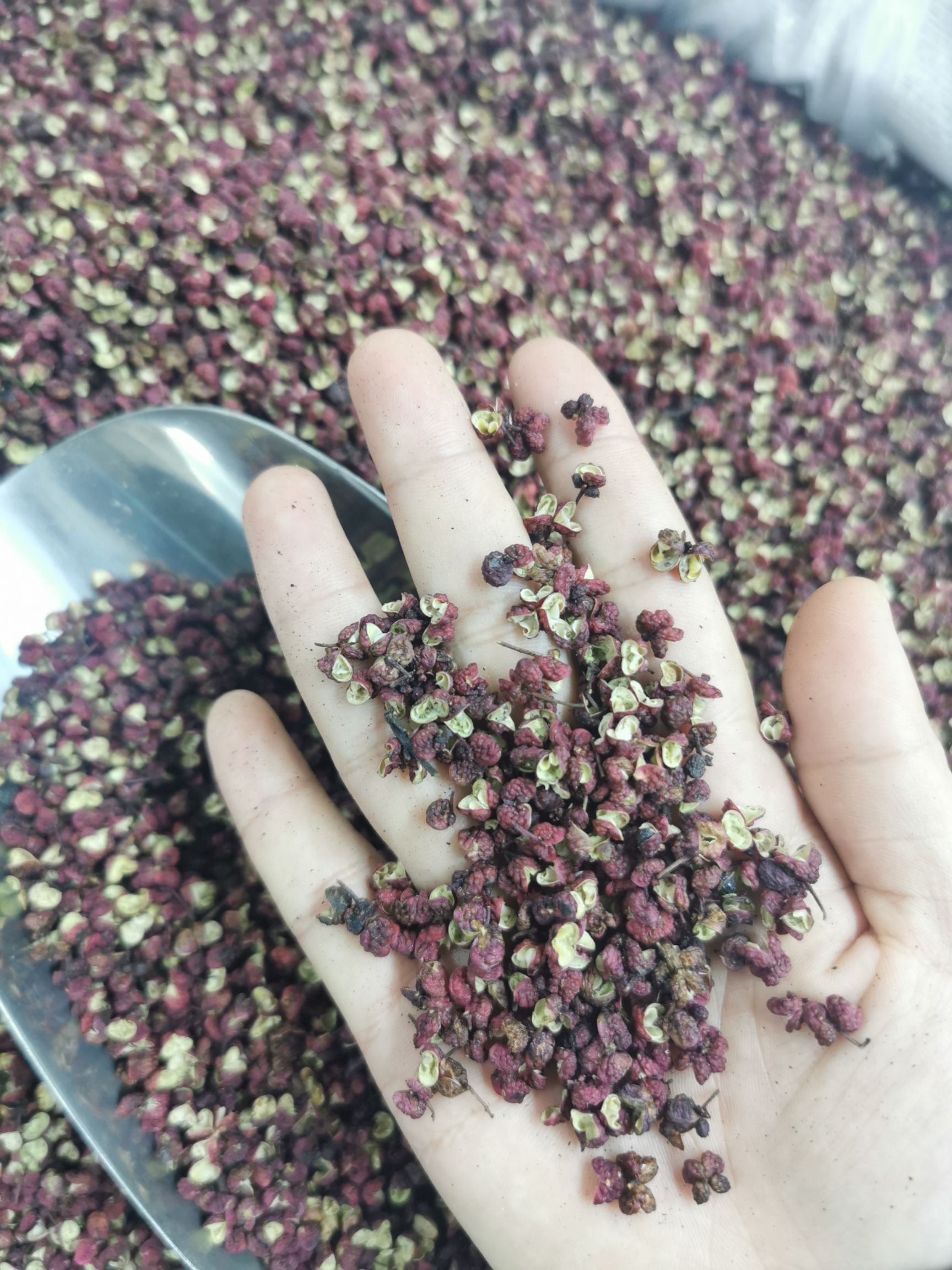 大红袍花椒  四川茂文大红袍红麻椒