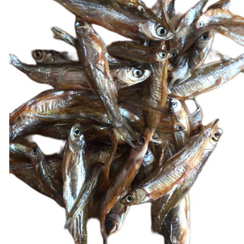 泰和县刁子鱼干 小鱼干