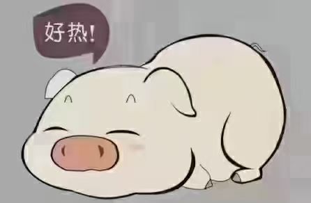 混合型饲料添加剂  高稳vc--解暑降温，预防中暑性疾病，解决各种应激反应