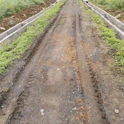 新余水田 耕地出租，适合种植有机蔬菜