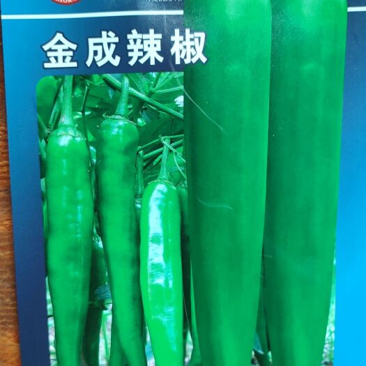 南靖县牛角椒种子 金成辣椒牛角椒