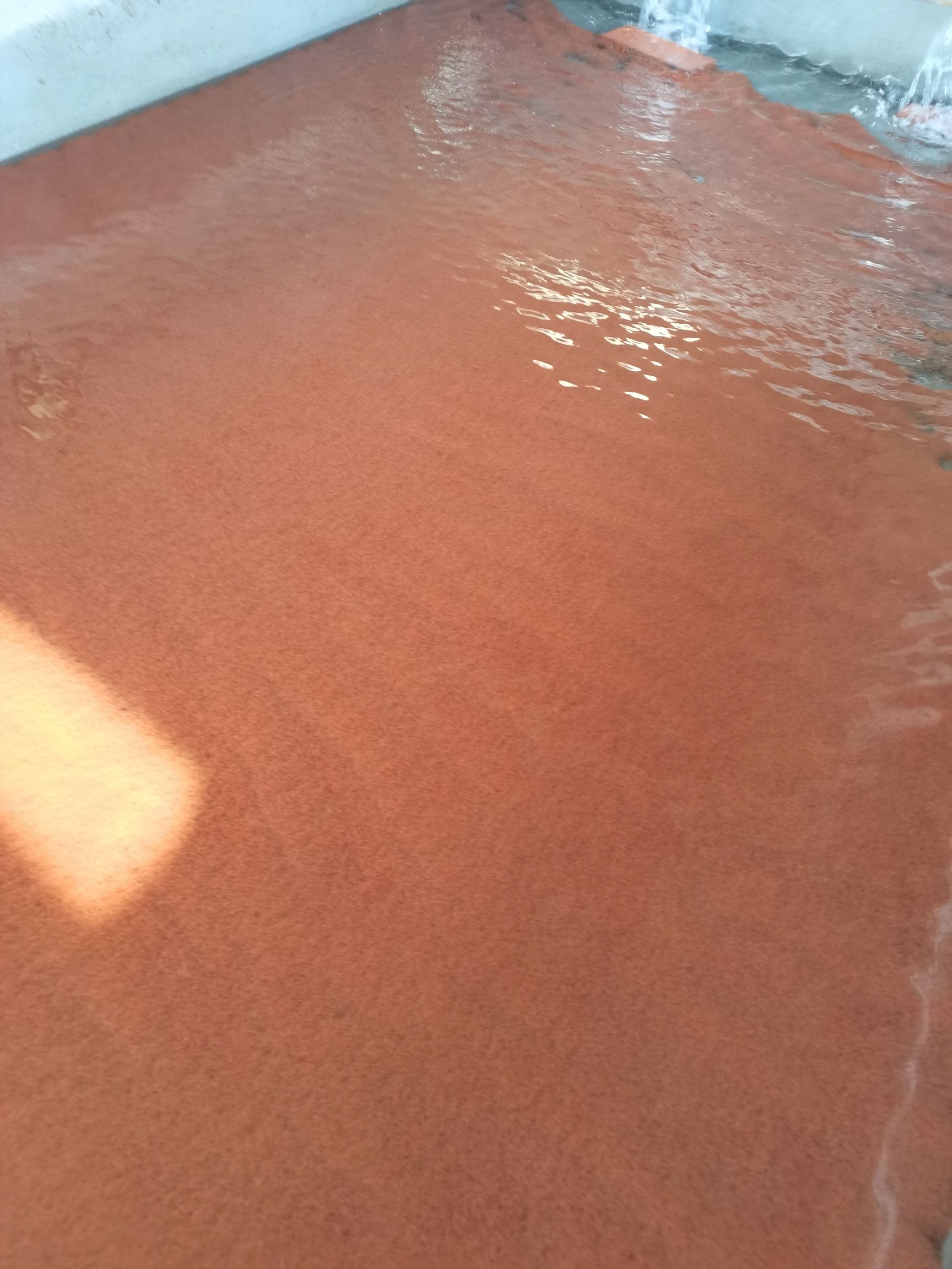  水蚯蚓养殖基地，300亩每天，批发价