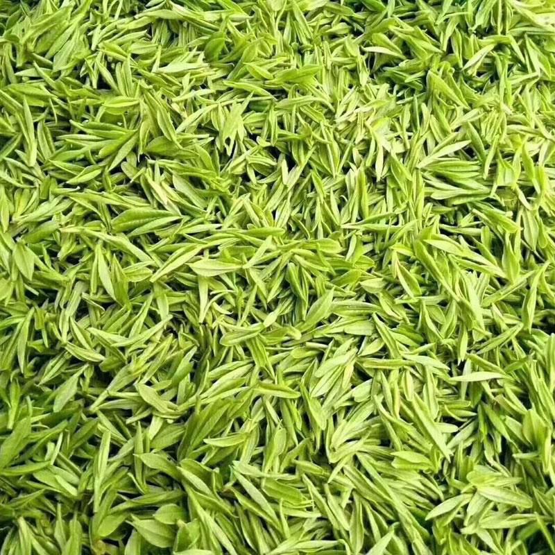 安吉白茶  2025新茶春茶绿茶雨前一级茶叶散装礼盒嫩芽