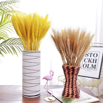 麦穗干花  优惠优惠优惠，基地直销一手货源天然大麦（大卖）干花花束！