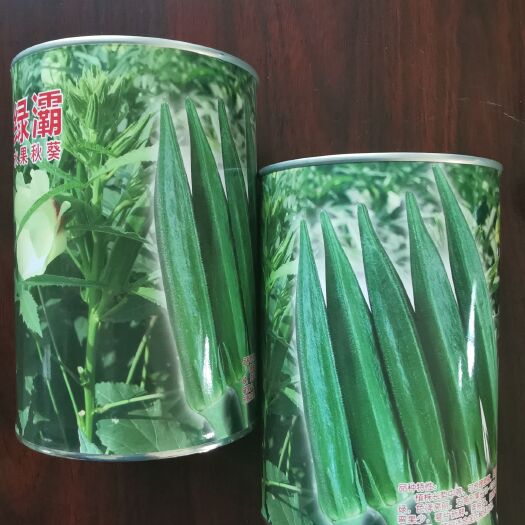莱阳市绿灞水果秋葵种子，日本杂交一代品种