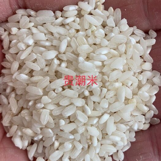 南昌早籼米  早稻米贵朝米18年，重金属不超标，专业做粉用出粉率