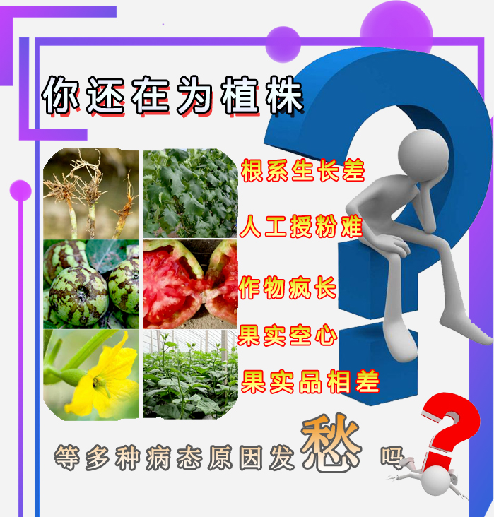 果树蔬菜花卉通用多元素均衡营养制剂叶面肥