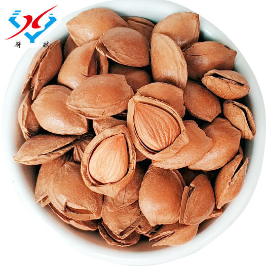 广州蔚县特产开口杏仁坚果休闲大杏仁零食500g/2袋手剥