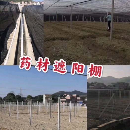 瑞丽市 水泥立柱钢丝棚架
