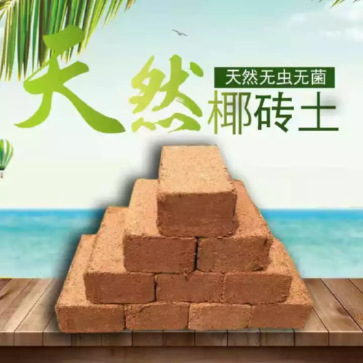 东莞市 无土栽培专用椰糠