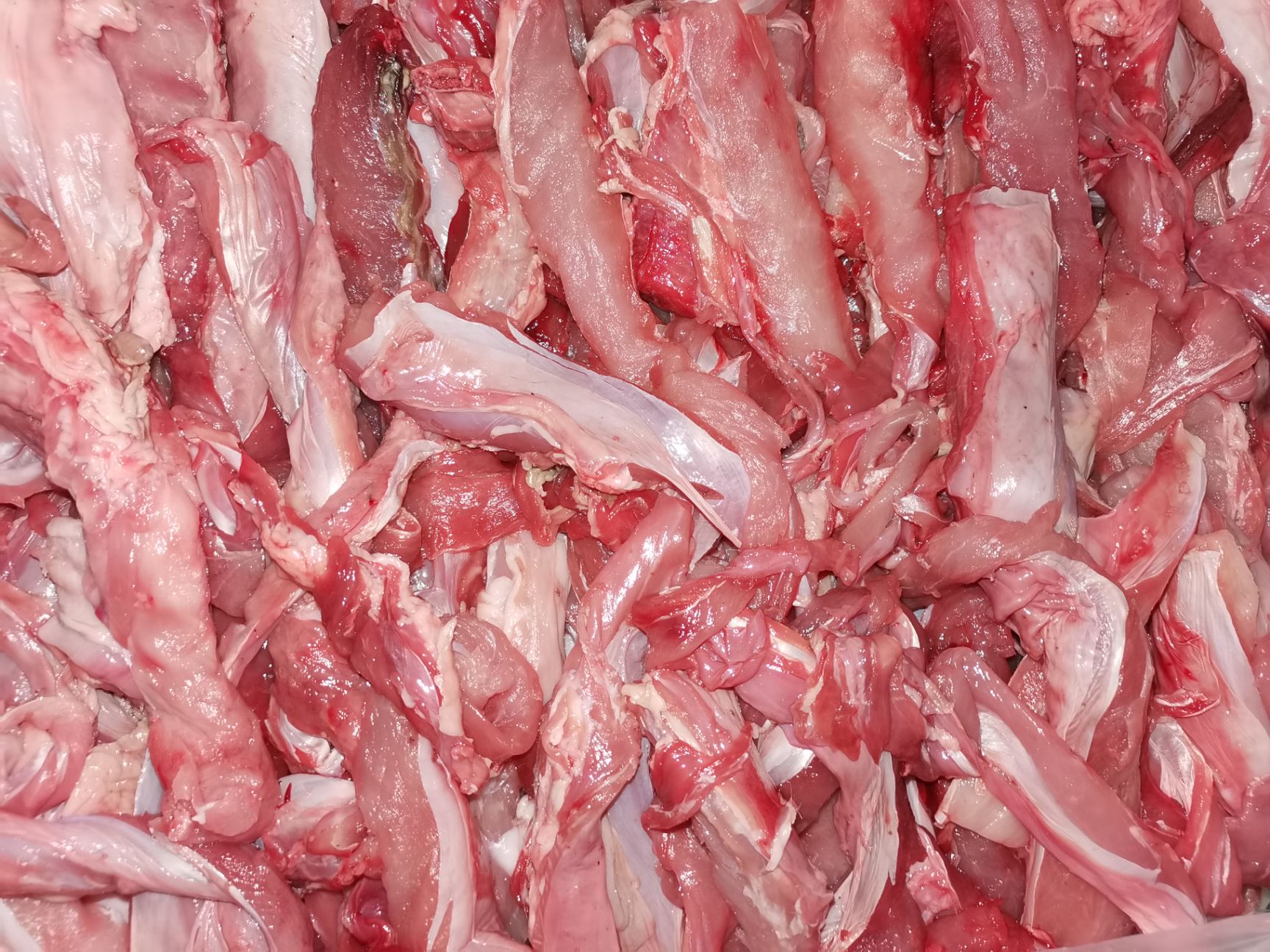 盐城兔肉类  供应生鲜，冷冻，带皮和去皮兔头