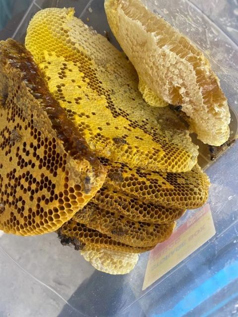 百色野蜂蜜  深山土蜂蜜