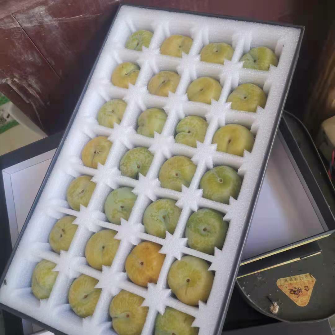  贵州省安顺关岭县正宗六马蜂糖李大果新鲜李子