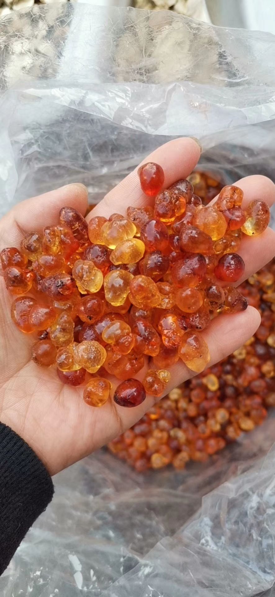 包邮 桃胶 新货  产地直销 量大从优无硫 各种农产品