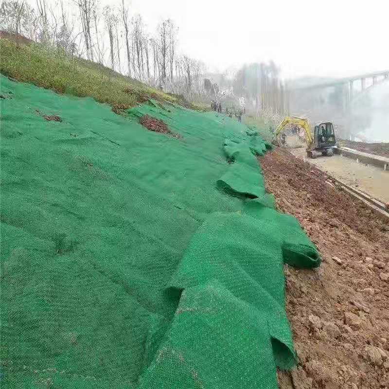 爬藤网 三维植草网  边坡绿化网 厂家直销