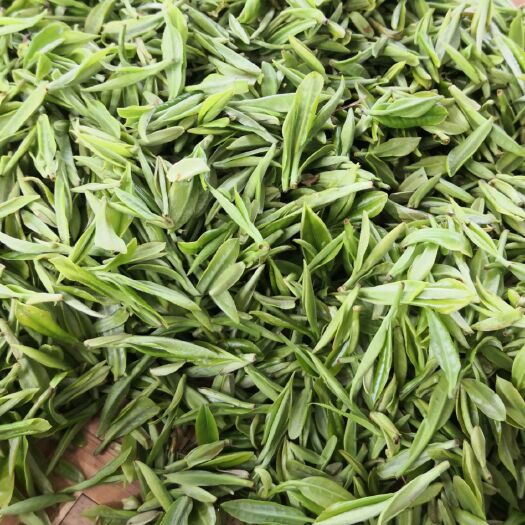 金寨县 毛峰茶绿茶汤色清澈清香耐泡回甘好口粮茶