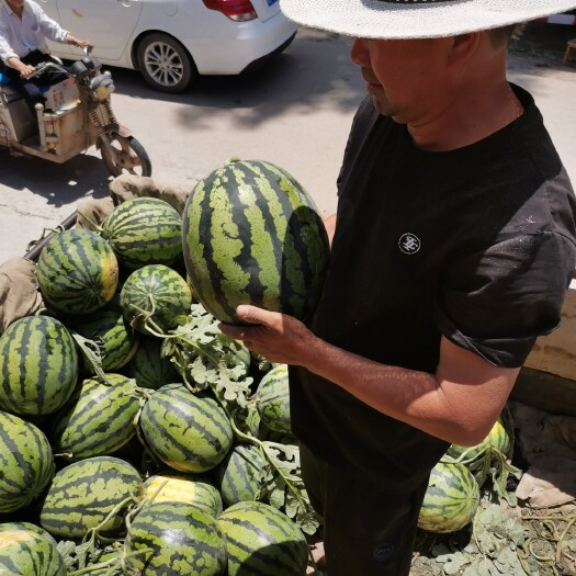 砀山县甜王西瓜  精品甜王平均十八到二十包熟包甜