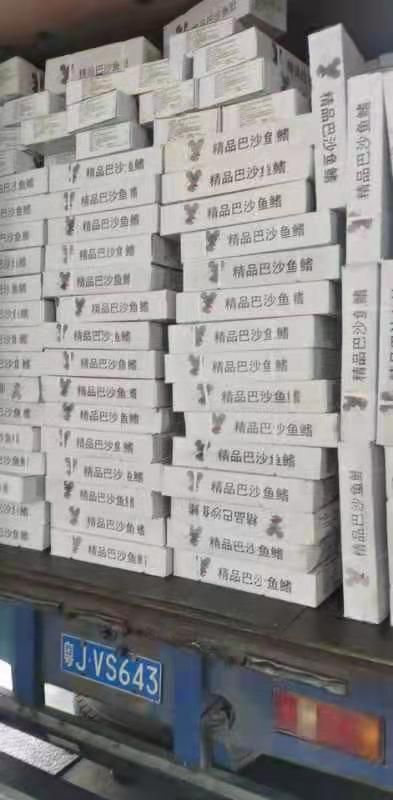 佛山 巴沙鱼鳍，量大优惠