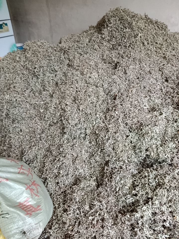 艾草  艾叶、艾根！自然晒干无硫！非种植农户一手货