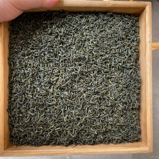 政和县炒青绿茶福建绿茶