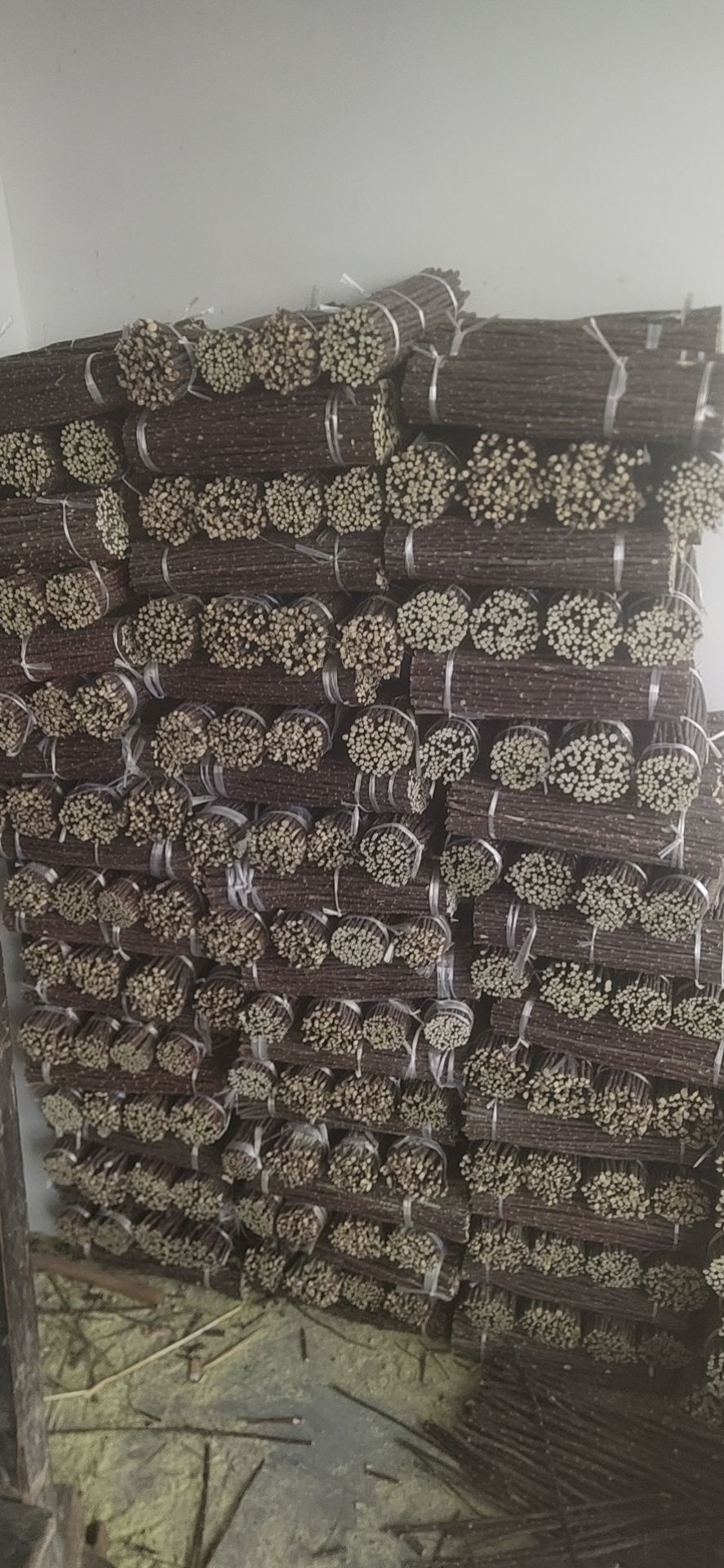 巨紫荆 荆条签子