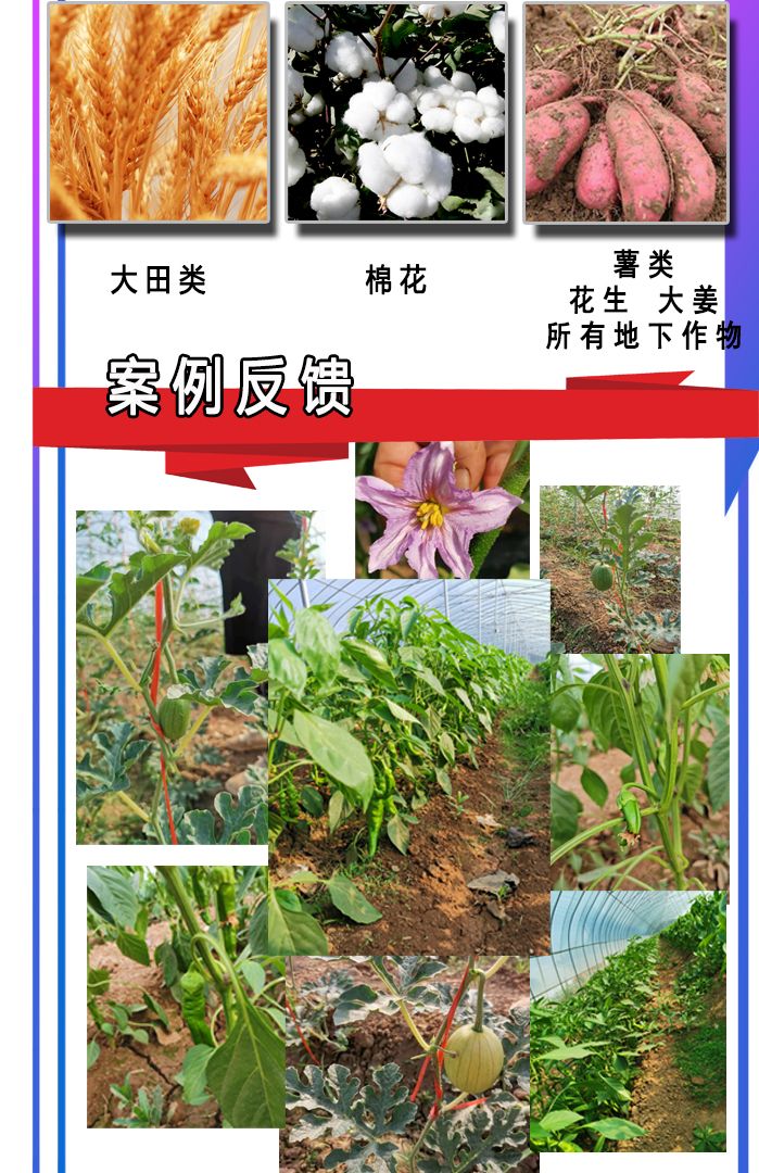 果树蔬菜花卉通用多元素均衡营养制剂叶面肥