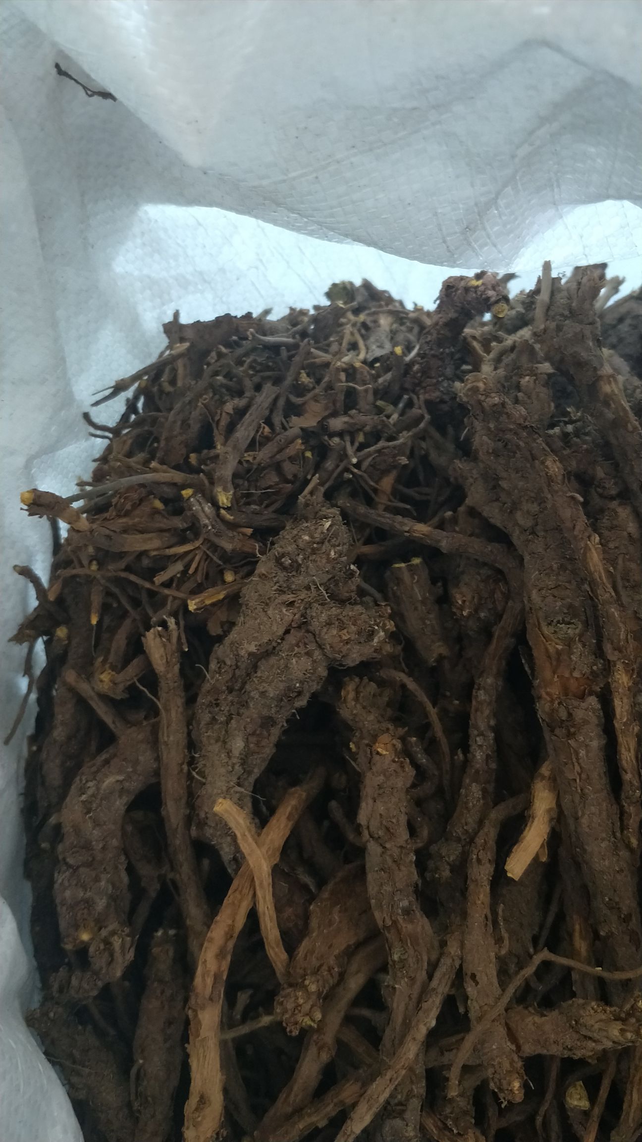 精品内蒙古高含量优质天然黄芩