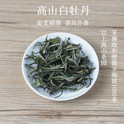 政和县白牡丹茶  福建白茶原产地白茶政和白茶福鼎白茶白牡丹高级花香高山茶批发