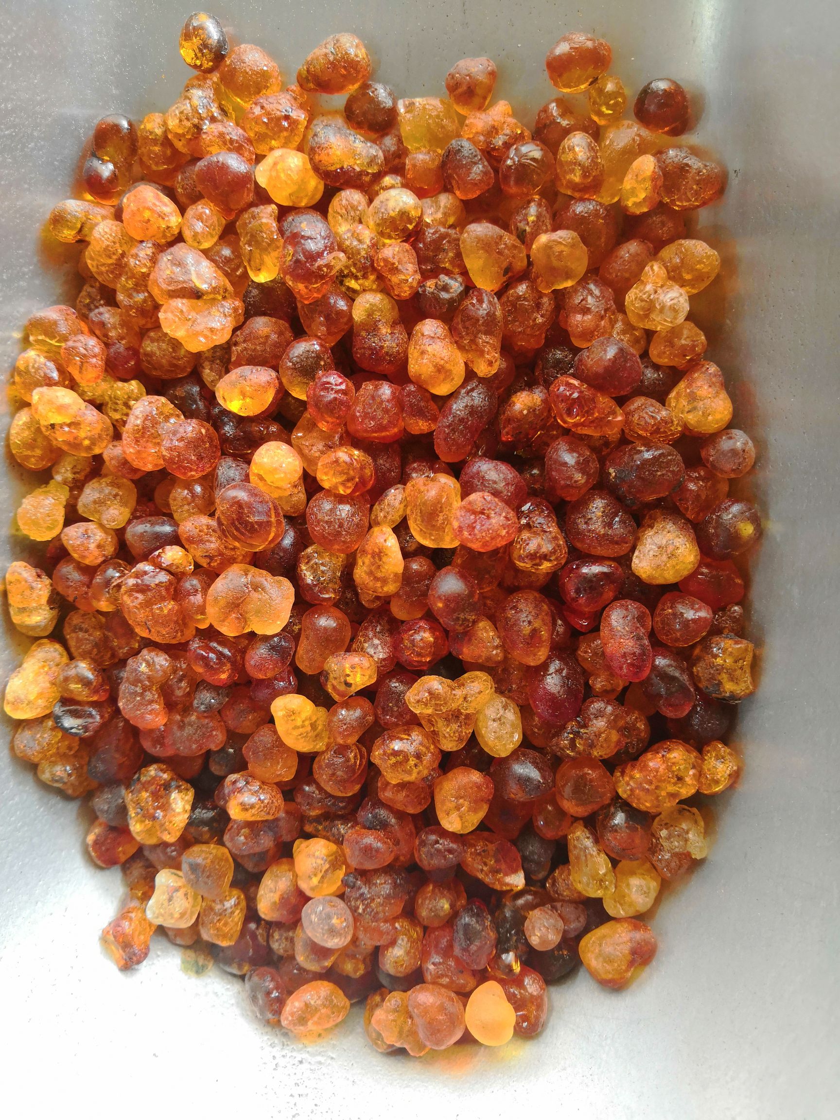 包邮 桃胶 新货  产地直销 量大从优无硫 各种农产品