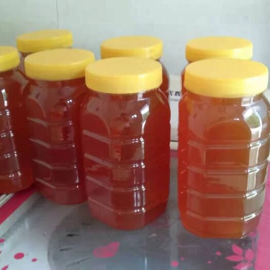 徽县土蜂蜜  长期稳定供应中蜂蜜，意蜂蜜，改良中蜂蜜，天然无污染，货优价好