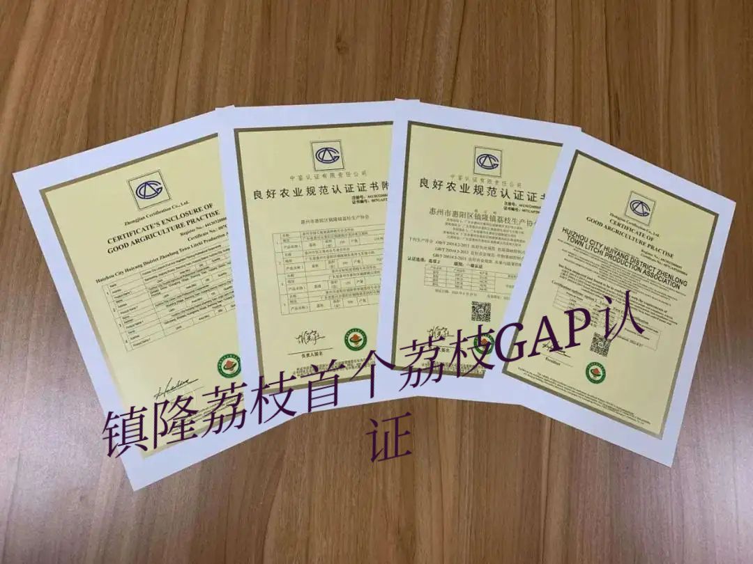 糯米糍荔枝果呈偏心脏形，歪柄，果形较大，色泽鲜红间蜡黄