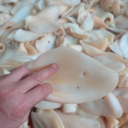 阳信县 褪毛生牛熟牛耳朵片