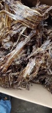 湖北小地龙，全开小地龙，干蚯蚓，全开肚，网货