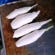 芜湖 茭白，高基地大量供应，四季有货