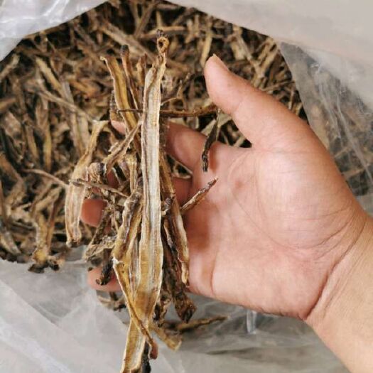 淇县地龙 纯补捉，网晒