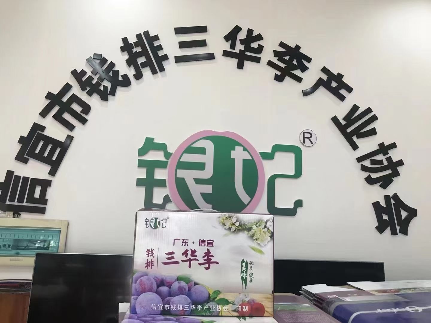 三华李  迷你小果腌制泡酒果产地直供，欢迎咨询订购