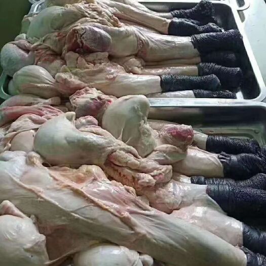 郑州驴鞭带宝