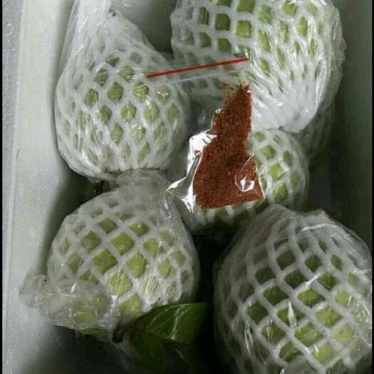 玉林 番石榴