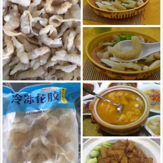 晋江市花胶  即食冷冻小龙胶 酒店宴席专用