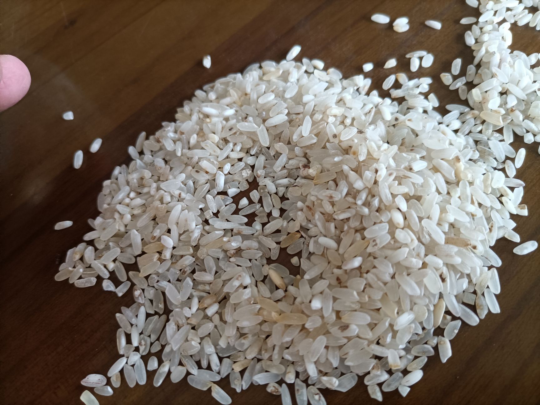 新到鸡食米饲料米碎米白净碎米长粒鸡米现货