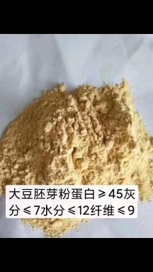 正定县大豆胚芽粉