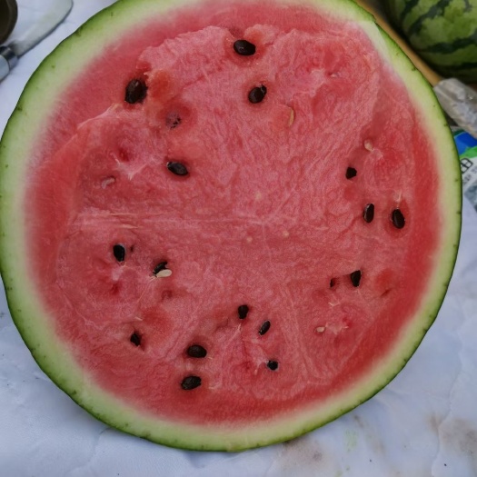 甜王西瓜