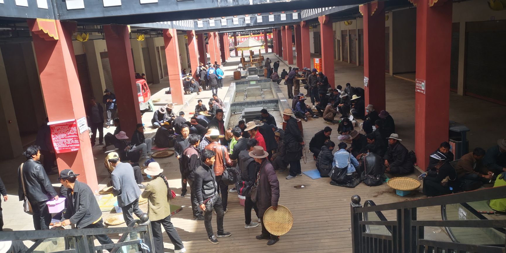 甘孜虫草  稻城亚丁新鲜虫草