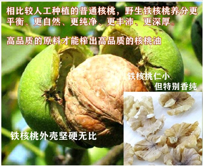 100ml云南野生铁核桃油一级食用油源厂货批发加工招各地经销